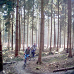 Spring Breaks in the Forest of Dean